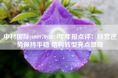 中材国际(600970)2024年年报点评：经营逆势保持平稳 结构转型亮点显现