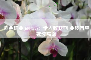 紫金矿业(601899)：步入收获期 业绩有望延续高增