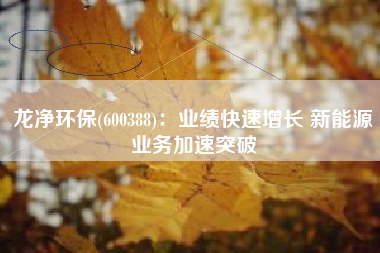 龙净环保(600388)：业绩快速增长 新能源业务加速突破