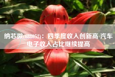 纳芯微(688052)：四季度收入创新高 汽车电子收入占比继续提高