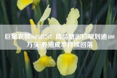 巨星农牧(603477)：商品猪出栏规划逾400万头 养殖成本持续回落