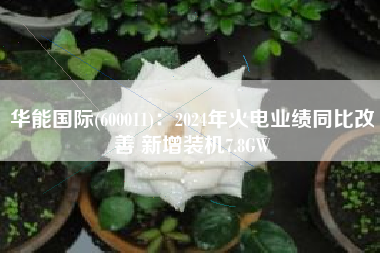 华能国际(600011)：2024年火电业绩同比改善 新增装机7.8GW