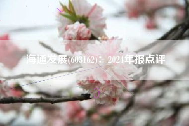 海通发展(603162)：2024年报点评