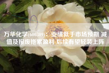 万华化学(600309)：业绩低于市场预期 减值及报废拖累盈利 后续有望轻装上阵