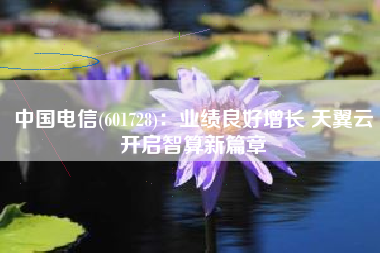 中国电信(601728)：业绩良好增长 天翼云开启智算新篇章