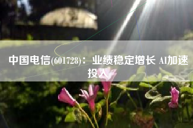 中国电信(601728)：业绩稳定增长 AI加速投入