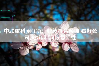中联重科(000157)：业绩符合预期 看好公司2025年利润恢复弹性