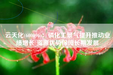 云天化(600096)：磷化工景气提升推动业绩增长 资源优势保障长期发展