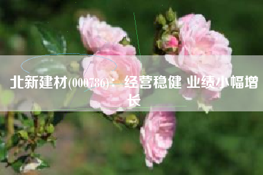 北新建材(000786)：经营稳健 业绩小幅增长