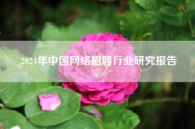 2024年中国网络招聘行业研究报告