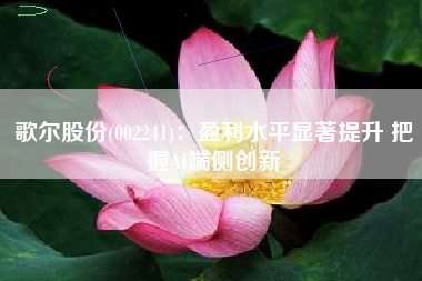 歌尔股份(002241)：盈利水平显著提升 把握AI端侧创新