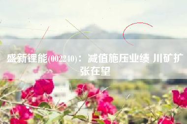 盛新锂能(002240)：减值施压业绩 川矿扩张在望