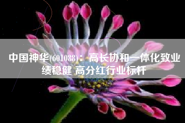 中国神华(601088)：高长协和一体化致业绩稳健 高分红行业标杆