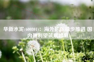 华新水泥(600801)：海外扩张稳步推进 国内盈利望筑底修复