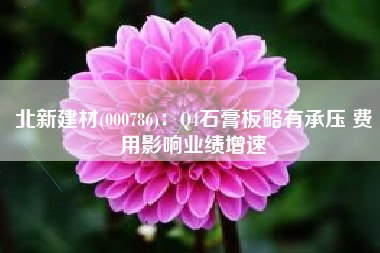 北新建材(000786)：Q4石膏板略有承压 费用影响业绩增速