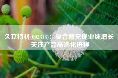 久立特材(002318)：复合管兑现业绩增长 关注产品高端化进程