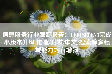 信息服务行业跟踪报告：DEEPSEEKV3完成小版本升级 推理/开发/中文/搜索等多领域能力均有增强