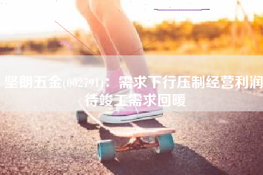 坚朗五金(002791)：需求下行压制经营利润 待竣工需求回暖
