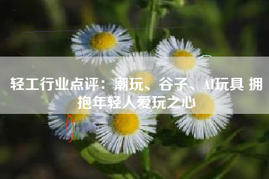 轻工行业点评：潮玩、谷子、AI玩具 拥抱年轻人爱玩之心