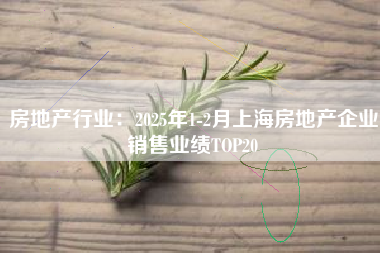 房地产行业：2025年1-2月上海房地产企业销售业绩TOP20