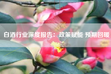 白酒行业深度报告：政策赋能 预期回暖
