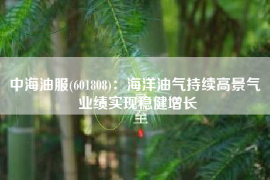 中海油服(601808)：海洋油气持续高景气 业绩实现稳健增长