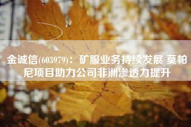 金诚信(603979)：矿服业务持续发展 莫帕尼项目助力公司非洲渗透力提升