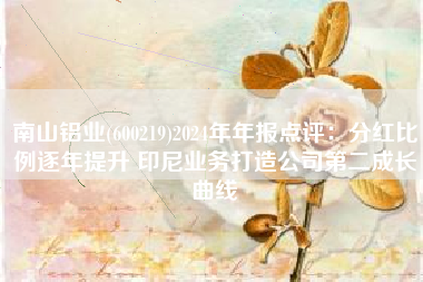 南山铝业(600219)2024年年报点评：分红比例逐年提升 印尼业务打造公司第二成长曲线
