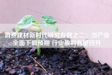 消费建材新时代研究专题之二：当产业全面下调预期 行业盈利有望回升