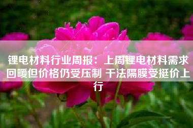 锂电材料行业周报：上周锂电材料需求回暖但价格仍受压制 干法隔膜受挺价上行