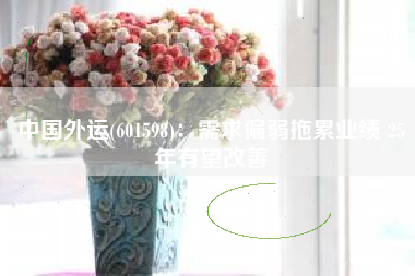 中国外运(601598)：需求偏弱拖累业绩 25年有望改善