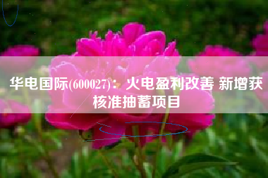 华电国际(600027)：火电盈利改善 新增获核准抽蓄项目