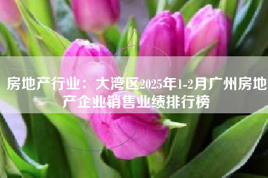 房地产行业：大湾区2025年1-2月广州房地产企业销售业绩排行榜