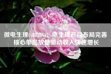 微电生理(688351)：电生理产品布局完善 核心单品放量驱动收入快速增长