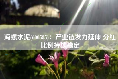 海螺水泥(600585)：产业链发力延伸 分红比例持续稳定