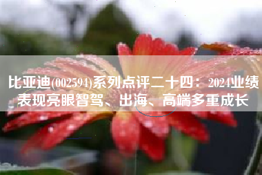 比亚迪(002594)系列点评二十四：2024业绩表现亮眼智驾、出海、高端多重成长