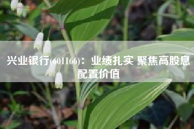 兴业银行(601166)：业绩扎实 聚焦高股息配置价值