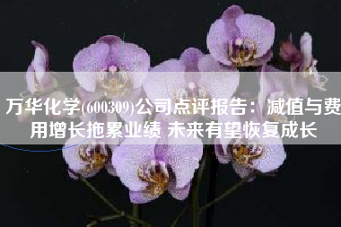万华化学(600309)公司点评报告：减值与费用增长拖累业绩 未来有望恢复成长