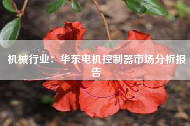 机械行业：华东电机控制器市场分析报告
