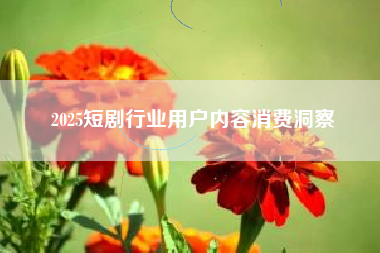 2025短剧行业用户内容消费洞察