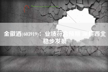 金徽酒(603919)：业绩符合预期 深耕西北稳步发展