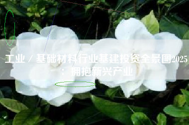 工业／基础材料行业基建投资全景图2025：拥抱新兴产业