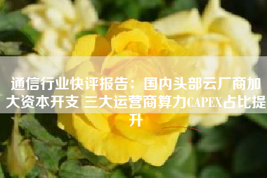 通信行业快评报告：国内头部云厂商加大资本开支 三大运营商算力CAPEX占比提升