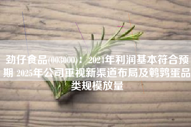 劲仔食品(003000)：2024年利润基本符合预期 2025年公司重视新渠道布局及鹌鹑蛋品类规模放量