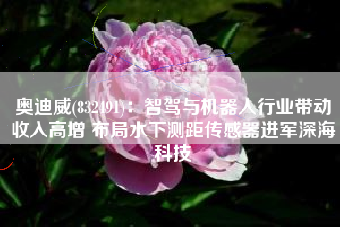 奥迪威(832491)：智驾与机器人行业带动收入高增 布局水下测距传感器进军深海科技