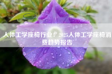 人体工学座椅行业：2025人体工学座椅消费趋势报告