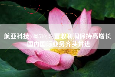 航亚科技(688510)：营收利润保持高增长 国内国际业务齐头并进