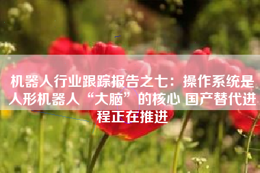 机器人行业跟踪报告之七：操作系统是人形机器人“大脑”的核心 国产替代进程正在推进