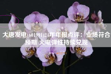 大唐发电(601991)24年年报点评：业绩符合预期 火电弹性持续兑现