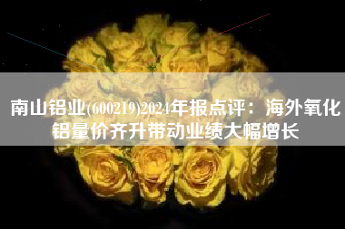 南山铝业(600219)2024年报点评：海外氧化铝量价齐升带动业绩大幅增长